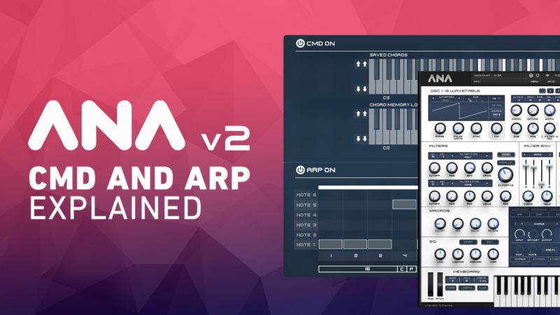 ANA 2 - CMD and Arp Explained with Bluffmunkey | Sonic Academy